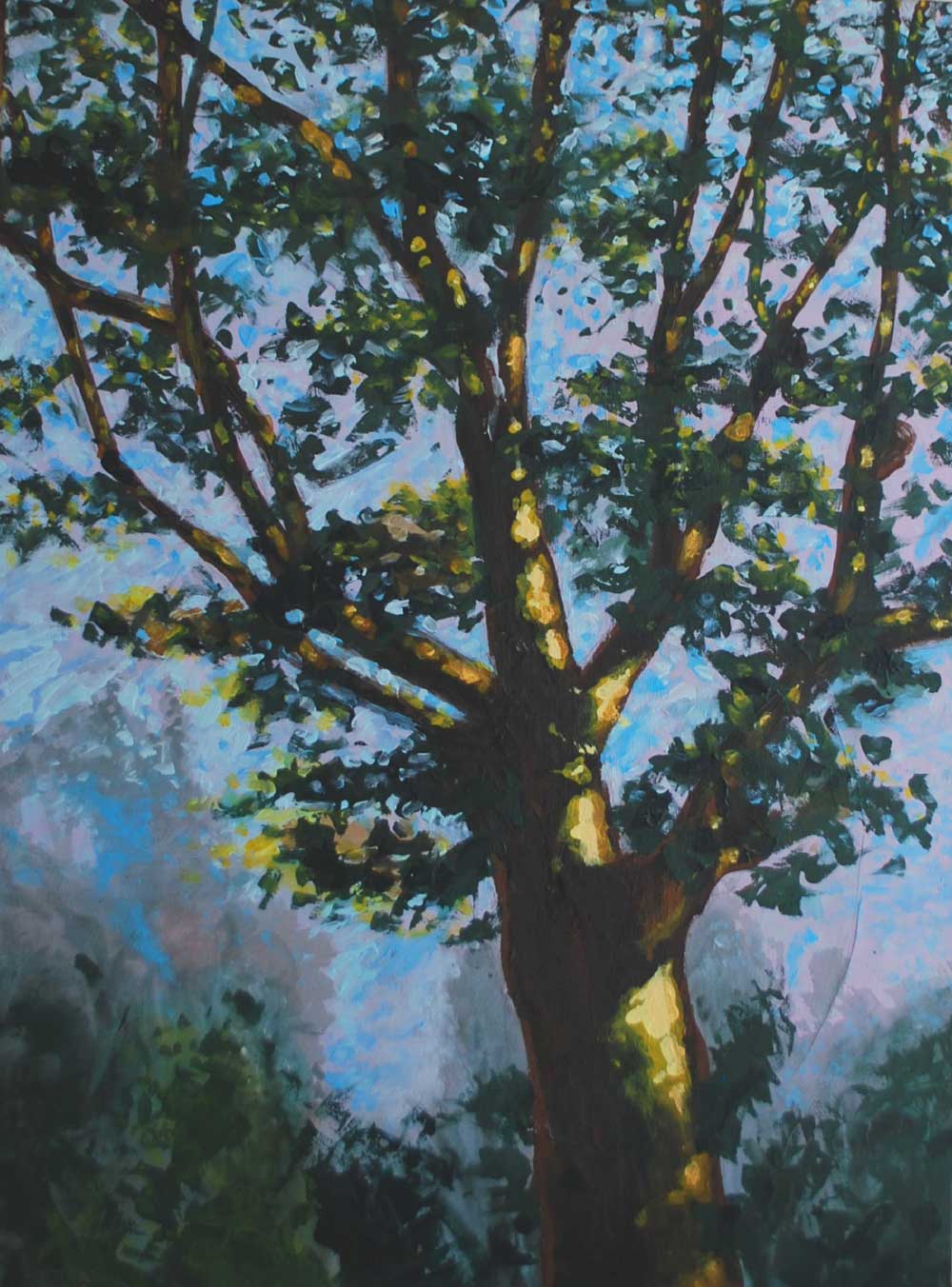 13 lumière vi acrylique sur toile 80 x 60 cm