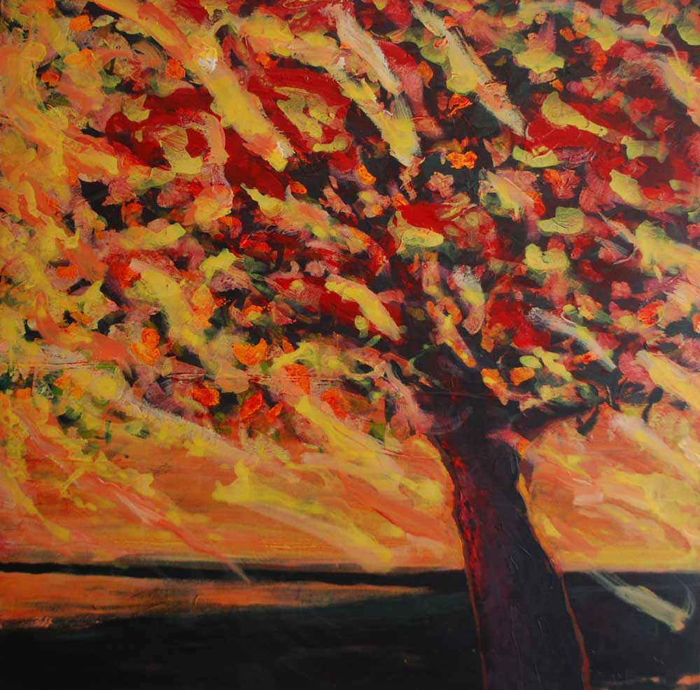 17 acrylique sur toile 100 x 100 cm