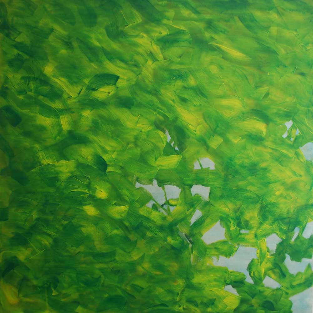 20 acrylique sur toile 100 x 100 cm